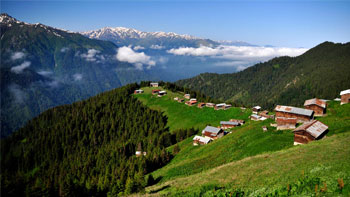 rize